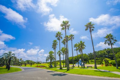 🏞️ 가나가와 현립 츠지도 해변 공원 (가나가와켄리츠 츠지도카이힌코엔)
